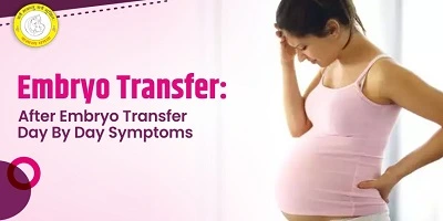 Positive Signs After Embryo Transfer