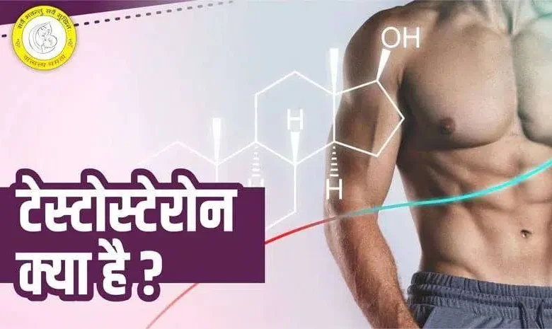 Testosterone Meaning in Hindi