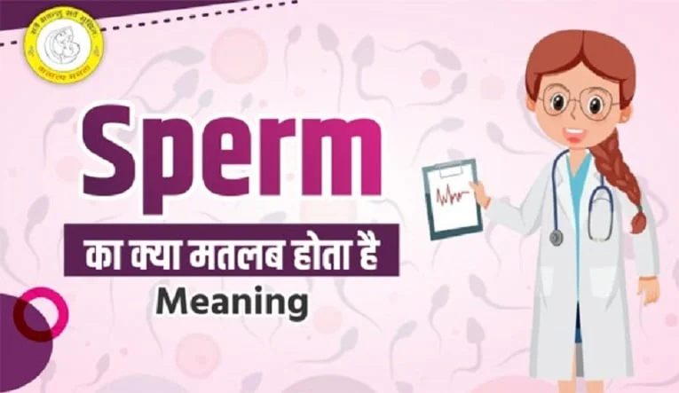 Sperm Meaning in Hindi