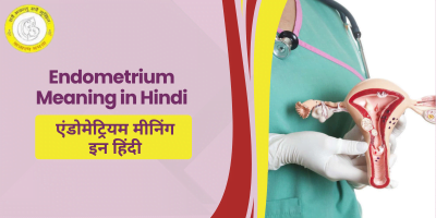 Endometrium Meaning in Hindi