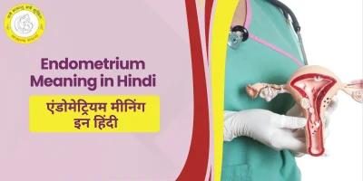 Endometrium Meaning in Hindi