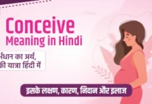 Conceive Meaning in Hindi जानिए विस्तार से गर्भधारण का मतलब