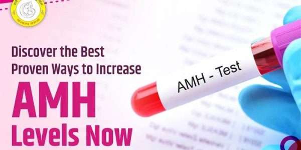 Discover the Best Proven Ways How to increase AMH levels Now