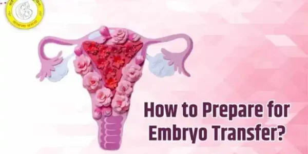 How to Prepare for Embryo Transfer
