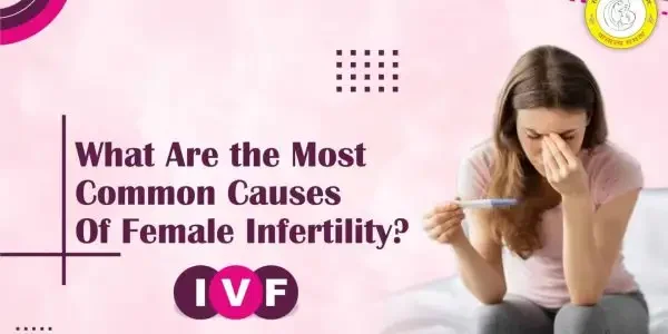 Most Common Causes Of Female Infertility