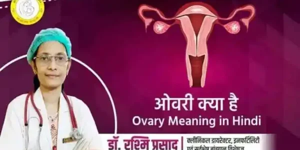 Ovary-Meaning-in-Hindi